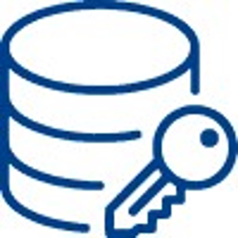 a blue key and a disk cylinder